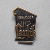 240 - Segakoor „Laulik“